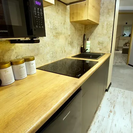 Апартаменти Lofty Chopina Бидгощ